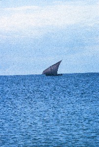 Foto: Massimo Lambertini