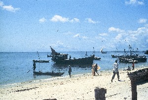 Foto: Massimo Lambertini